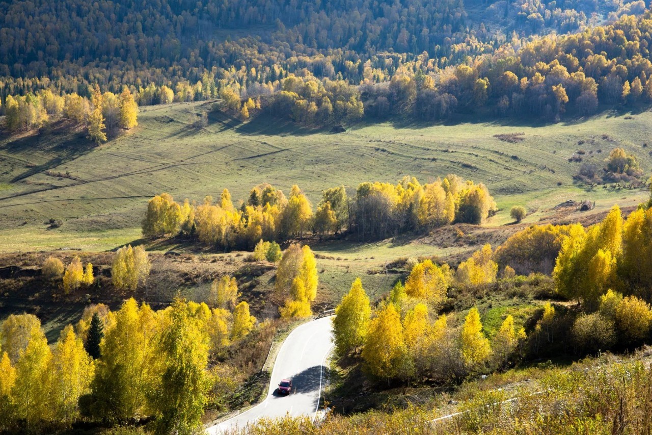 新疆科技之光,引领智能生活新篇章