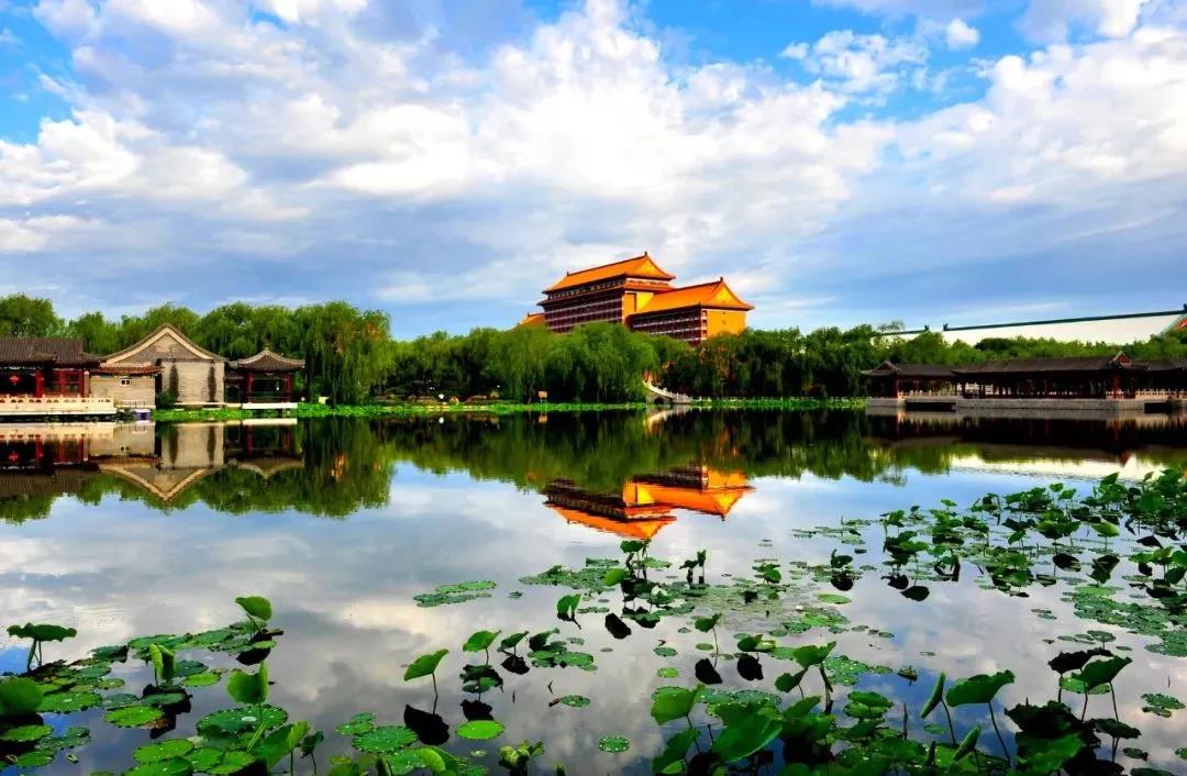 廊坊,日常温馨与友谊绽放的爱的陪伴