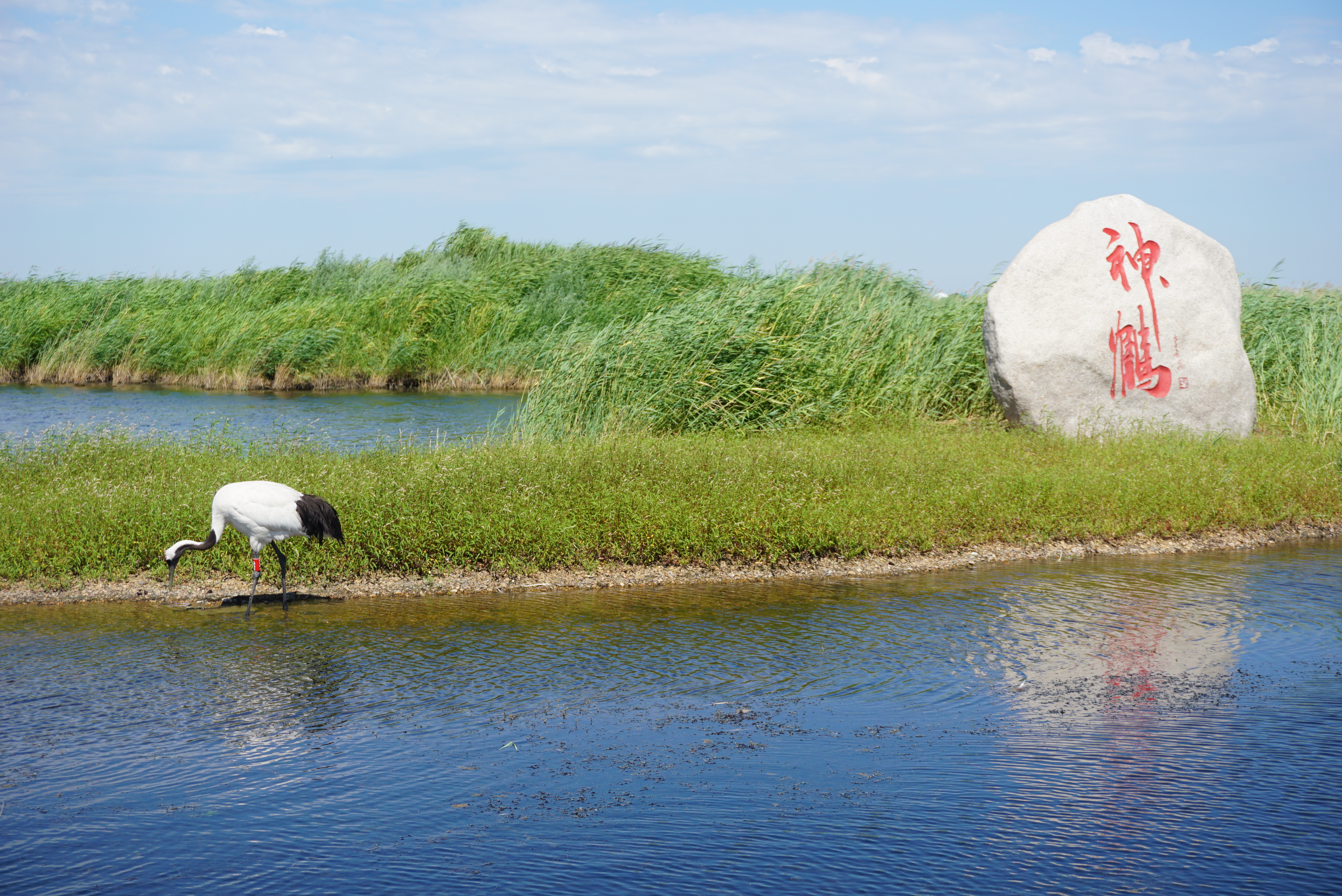 探寻运城古韵,怀古之旅