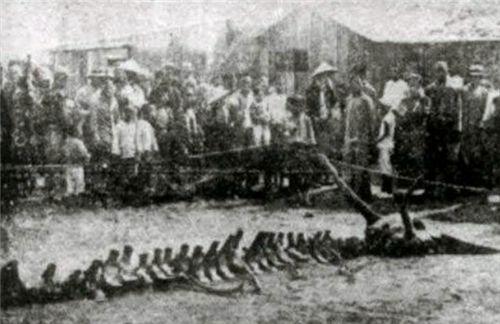 营口,城市印象与评论