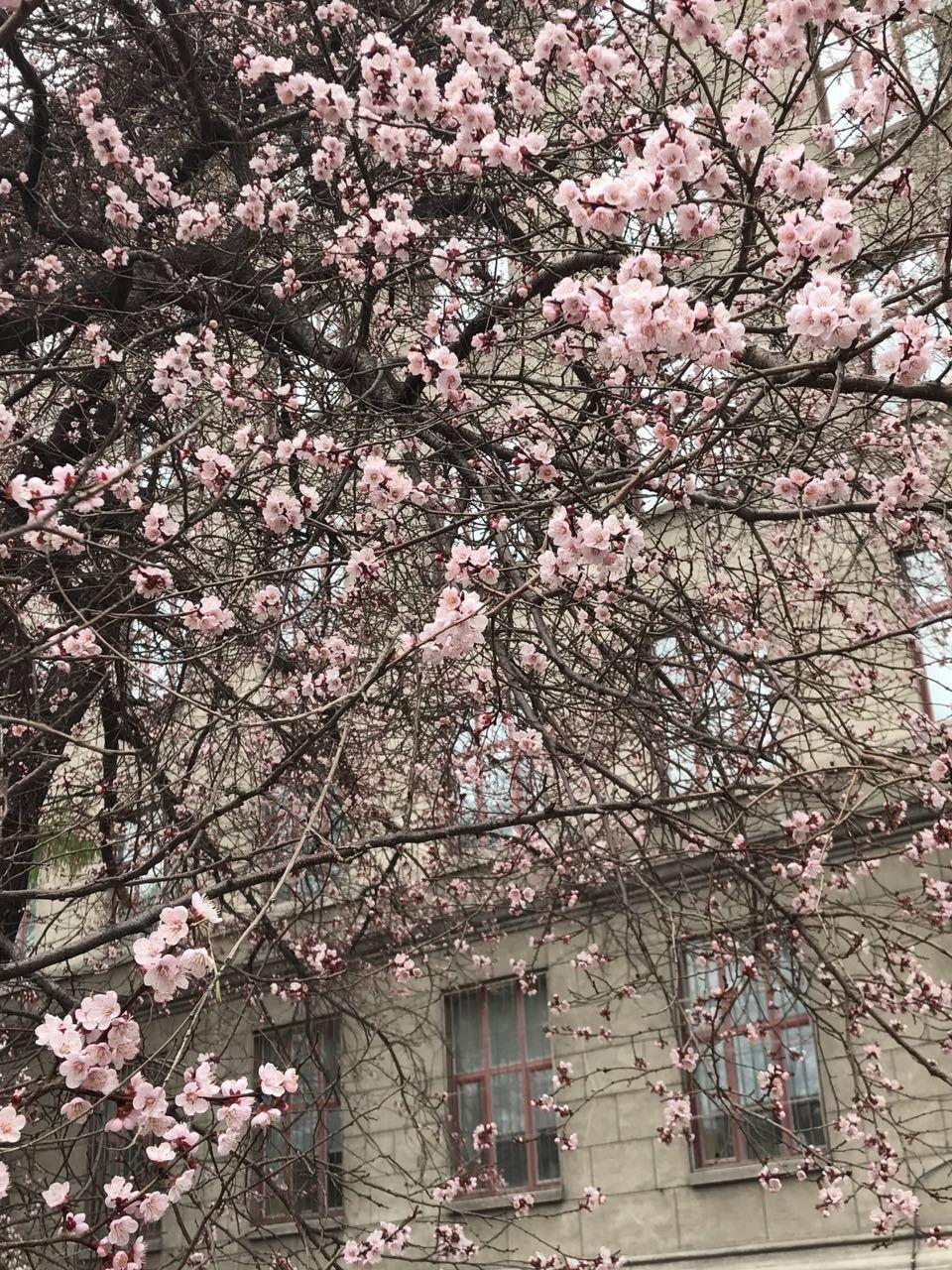 哈尔滨，致敬亲爱的听众们